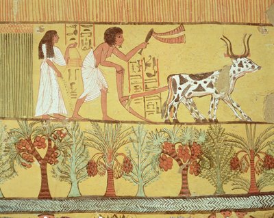 Sennedjem e Sua Moglie nei Campi a Seminare e Coltivare, dalla Tomba di Sennedjem da Egyptian 19th Dynasty